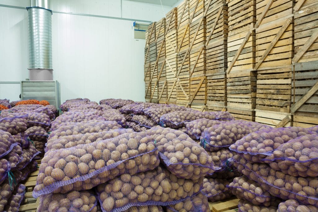 27462838 - view on bags and crates of potato in storage house