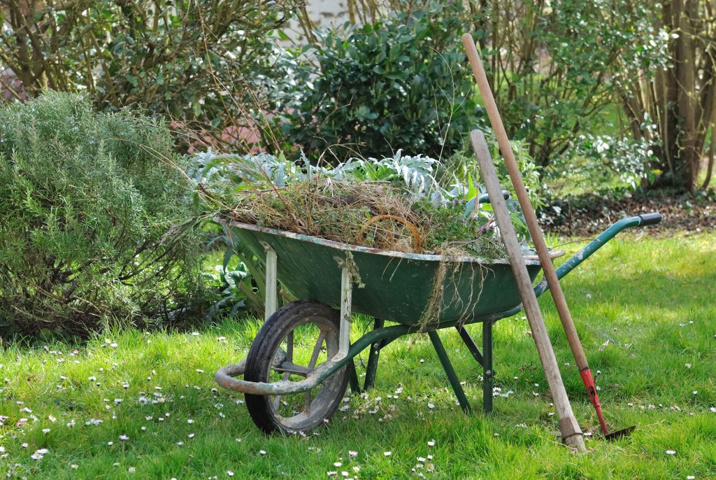 56352795 - wheelbarrow full with garden weeds and tools in a garden